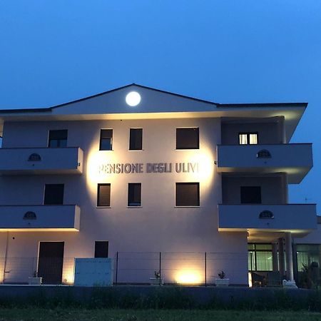 Pensione Degli Ulivi 포르토 산텔피디오 외부 사진