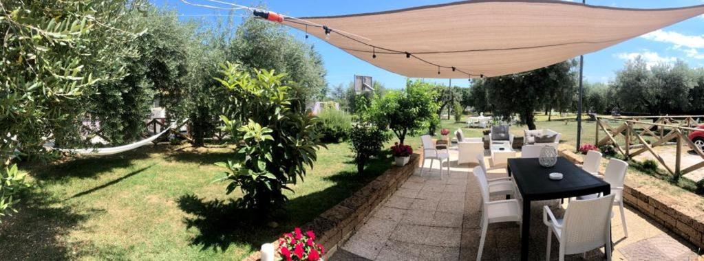 Pensione Degli Ulivi 포르토 산텔피디오 외부 사진