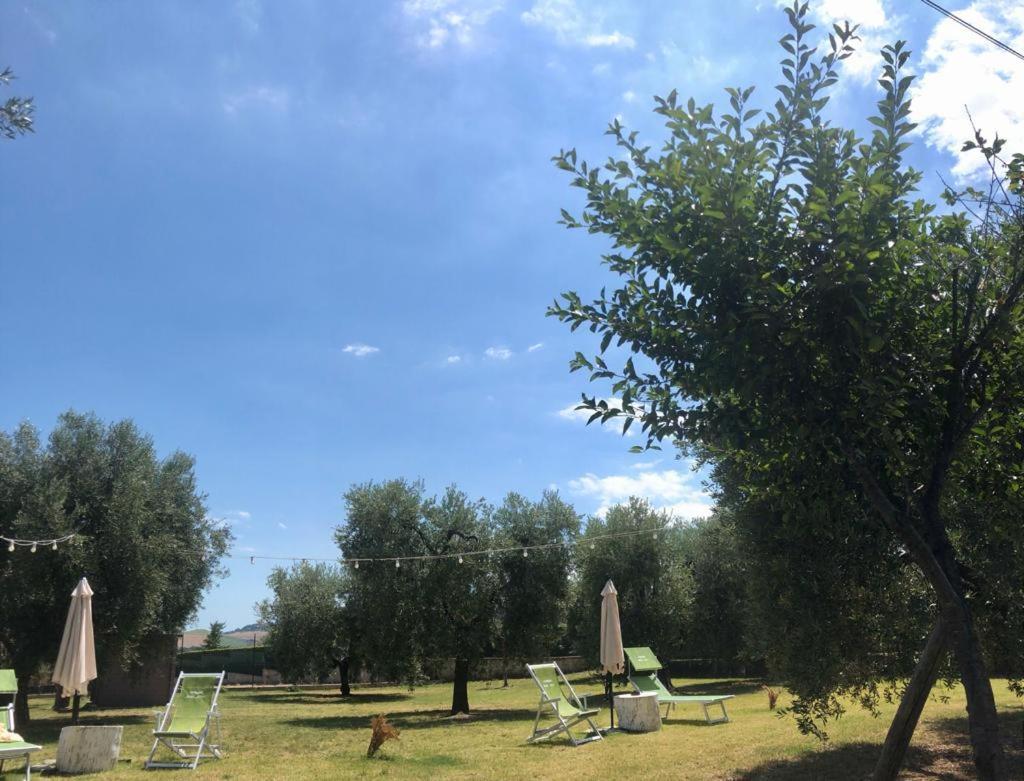 Pensione Degli Ulivi 포르토 산텔피디오 외부 사진