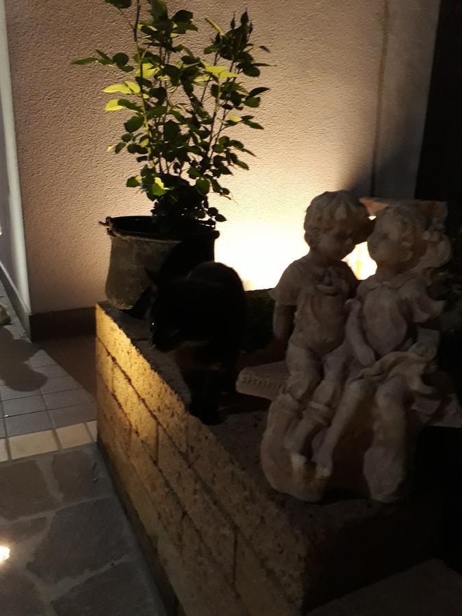 Pensione Degli Ulivi 포르토 산텔피디오 외부 사진
